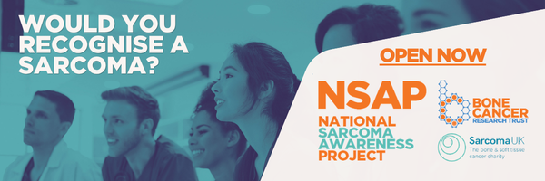 NSAP.png